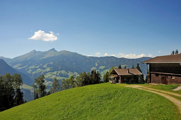 Sommerpanorama Almhütten | © Erste Ferienregion im Zillertal / Wörgötter&friends